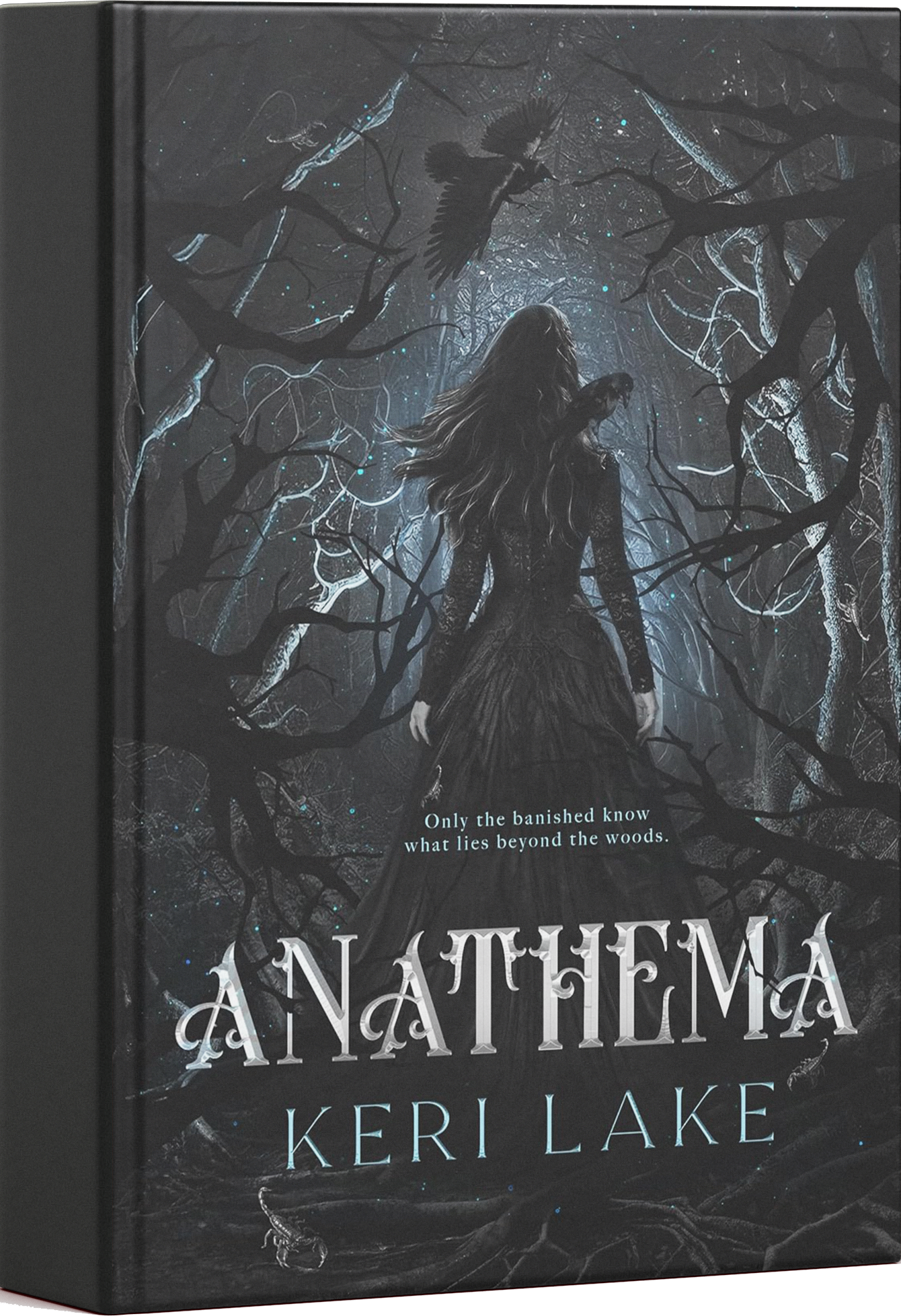 Image gallery marquee